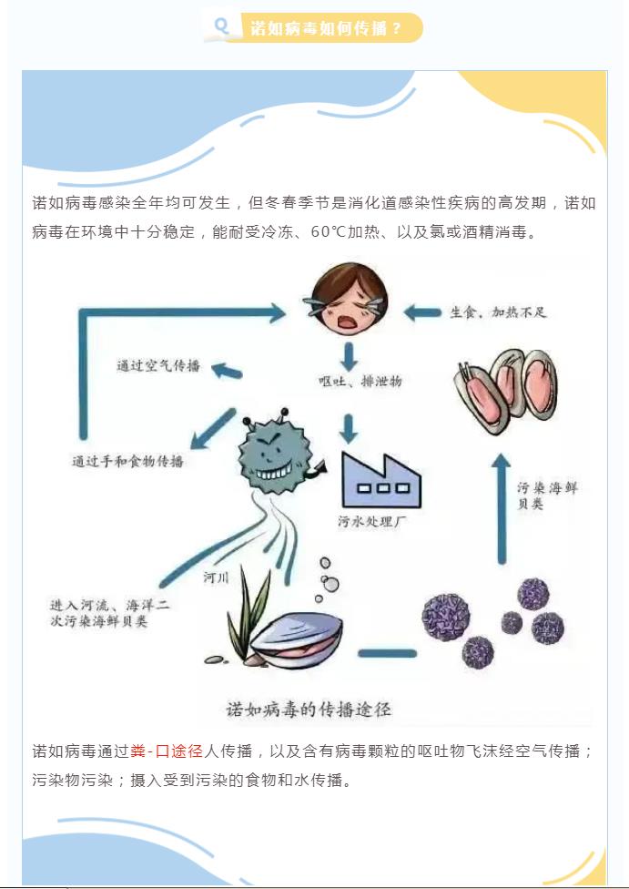 诺如病毒进入高发期！儿科医生教您如何预防