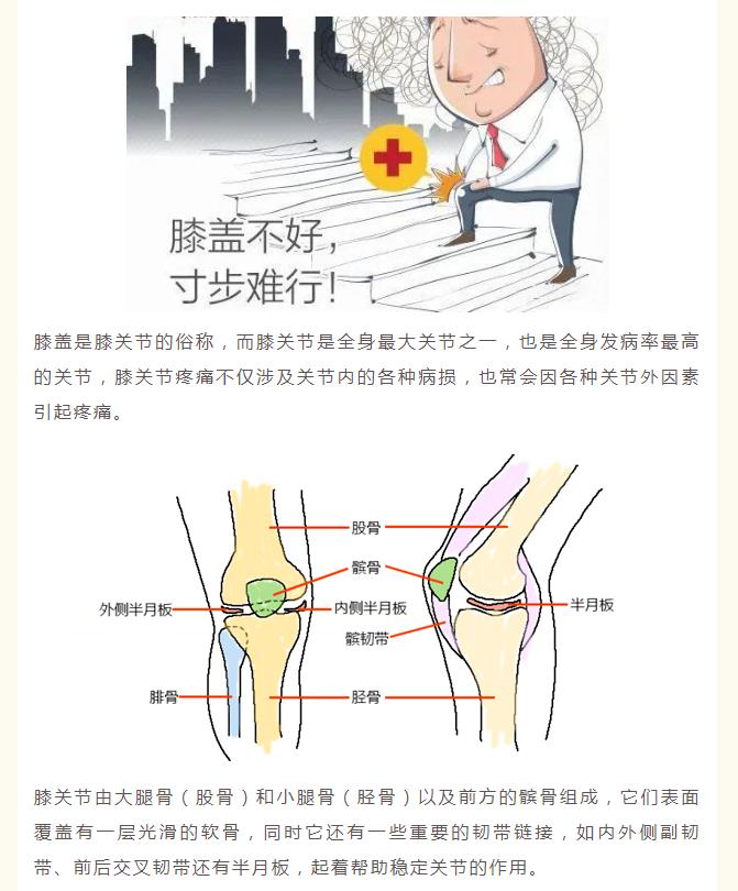 【5.27我爱膝】全国保膝日，与您膝膝相关！