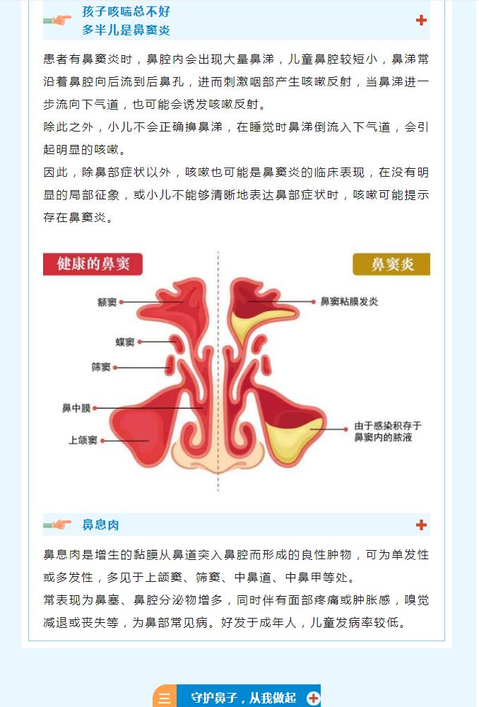 全国爱鼻日 | 知己知“鼻”，健康呼吸每一天